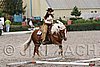 MEC06_0467.jpg