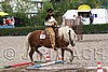MEC06_0474.jpg