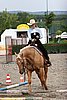 MEC06_0508.jpg
