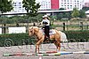 MEC06_0512.jpg