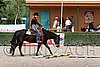 MEC06_0637.jpg