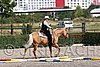 MEC06_0674.jpg