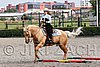 MEC06_0681.jpg