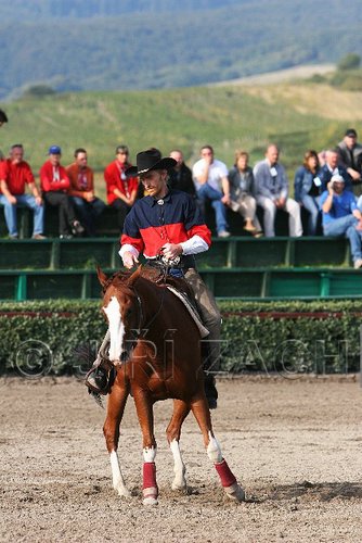 MEC06_1109.jpg
