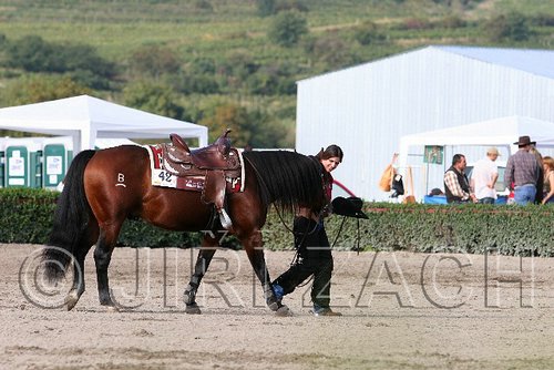 MEC06_1167.jpg