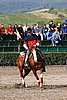 MEC06_1110.jpg