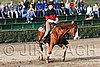 MEC06_1115.jpg