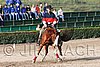 MEC06_1117.jpg