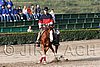 MEC06_1119.jpg