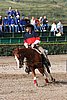 MEC06_1124.jpg