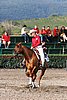 MEC06_1128.jpg