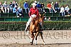 MEC06_1132.jpg