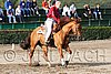 MEC06_1135.jpg