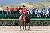 MEC06_1145.jpg