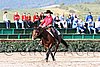 MEC06_1146.jpg