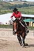 MEC06_1156.jpg