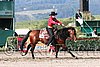 MEC06_1157.jpg