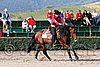 MEC06_1158.jpg