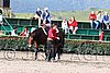 MEC06_1166.jpg