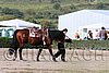 MEC06_1167.jpg