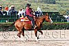 MEC06_1172.jpg