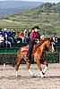 MEC06_1177.jpg