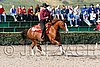 MEC06_1179.jpg