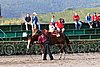 MEC06_1184.jpg