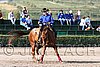 MEC06_1186.jpg