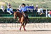 MEC06_1187.jpg