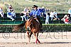 MEC06_1188.jpg