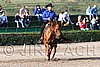 MEC06_1189.jpg