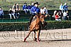 MEC06_1190.jpg