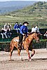 MEC06_1193.jpg