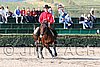 MEC06_1201.jpg