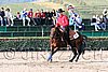 MEC06_1207.jpg
