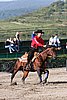 MEC06_1211.jpg