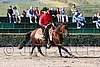 MEC06_1218.jpg