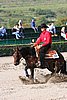 MEC06_1221.jpg