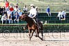 MEC06_1224.jpg
