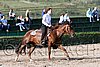 MEC06_1228.jpg
