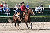 MEC06_1241.jpg