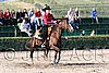 MEC06_1245.jpg