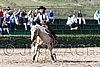 MEC06_1277.jpg