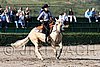 MEC06_1278.jpg