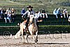 MEC06_1279.jpg