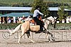 MEC06_1284.jpg