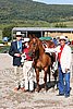 MEC06_1337.jpg