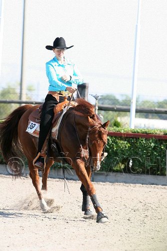 MEC06_1653.jpg