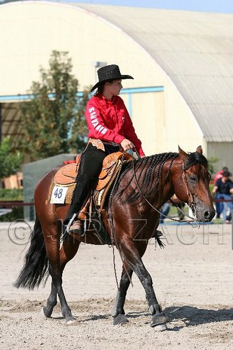 MEC06_1665.jpg